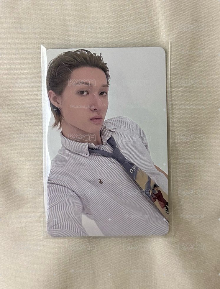 會員禮大小狗狗♡*.ﾟ