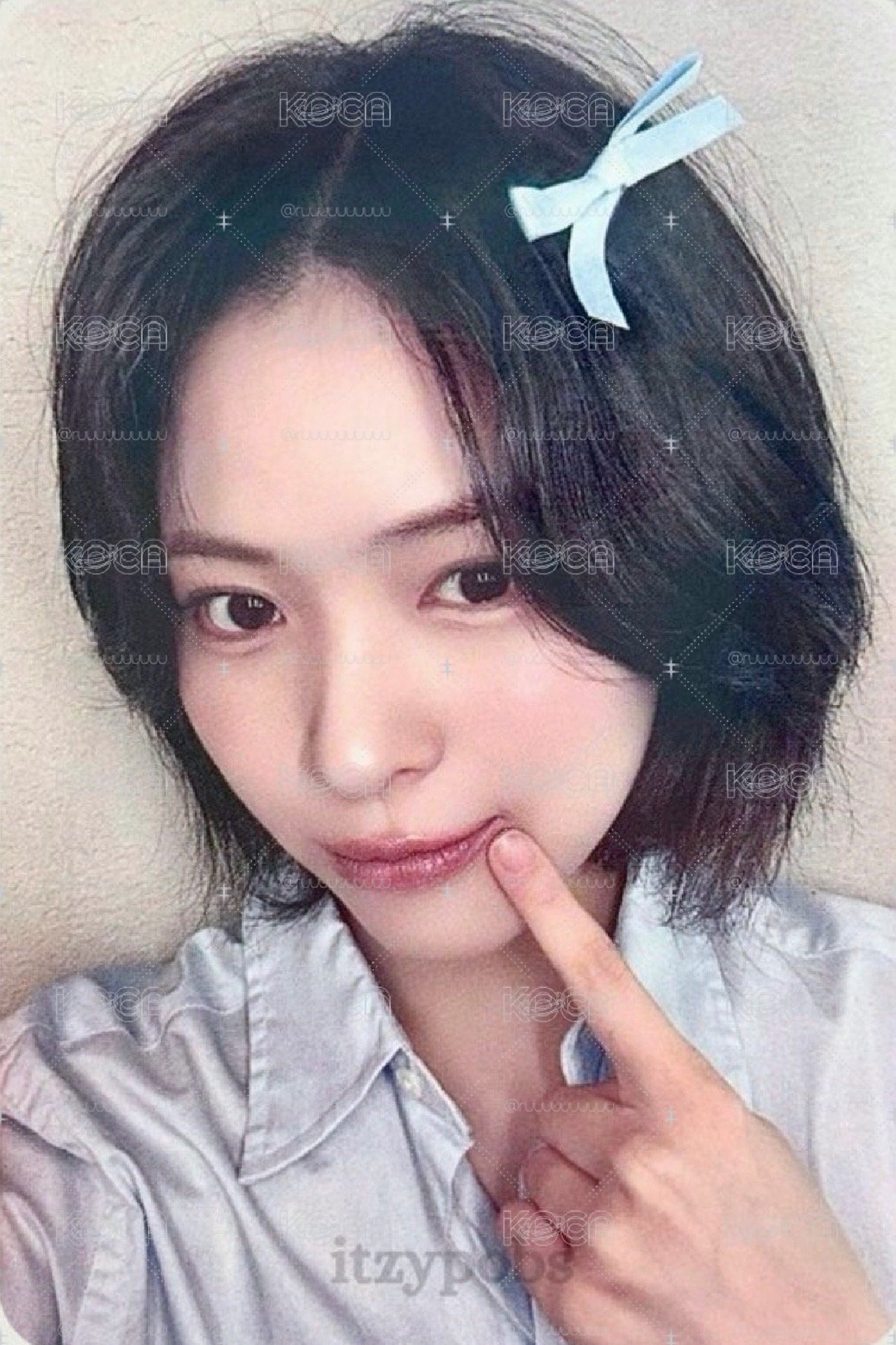 蝴蝶結留