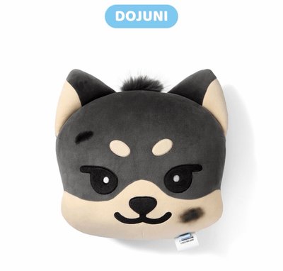 二販已下單 DOJUNI抱枕 要二補