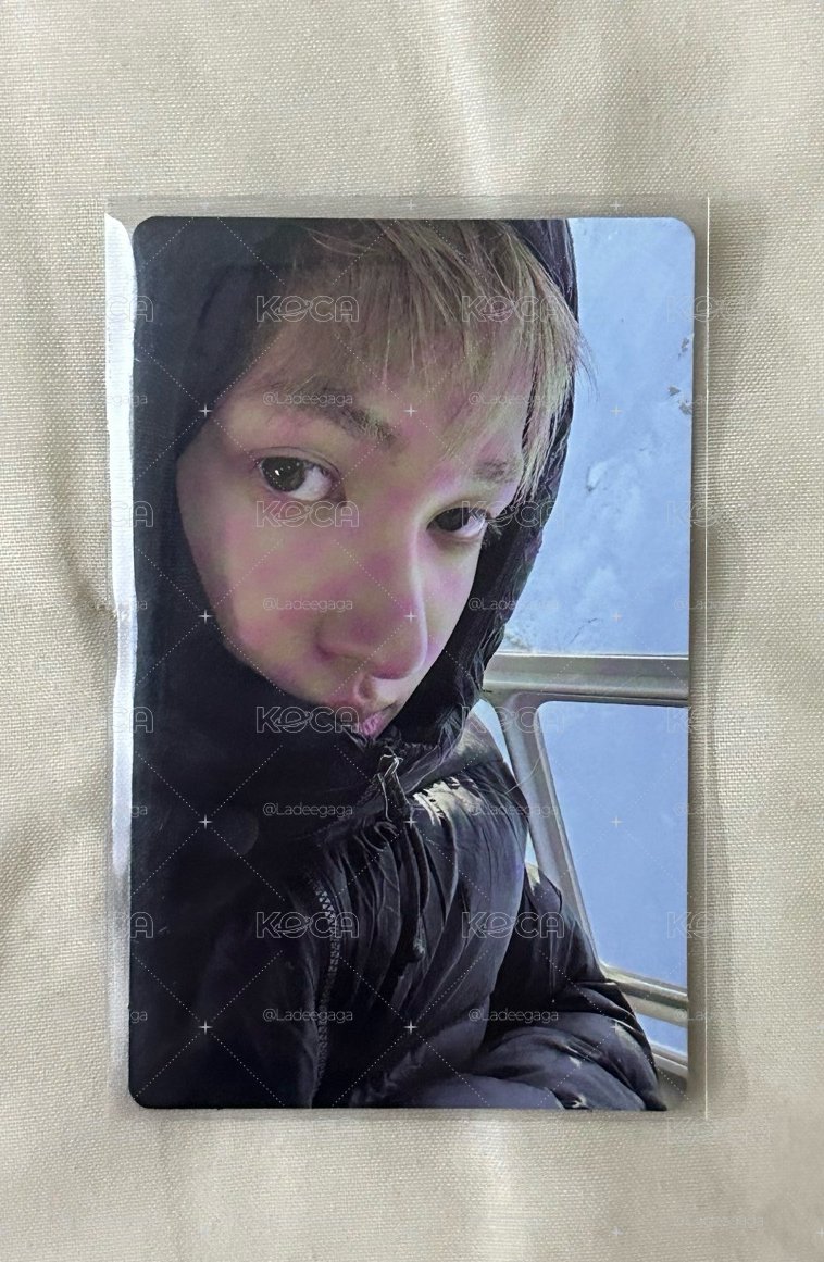 無敵貌美雪地馬♡*.ﾟ