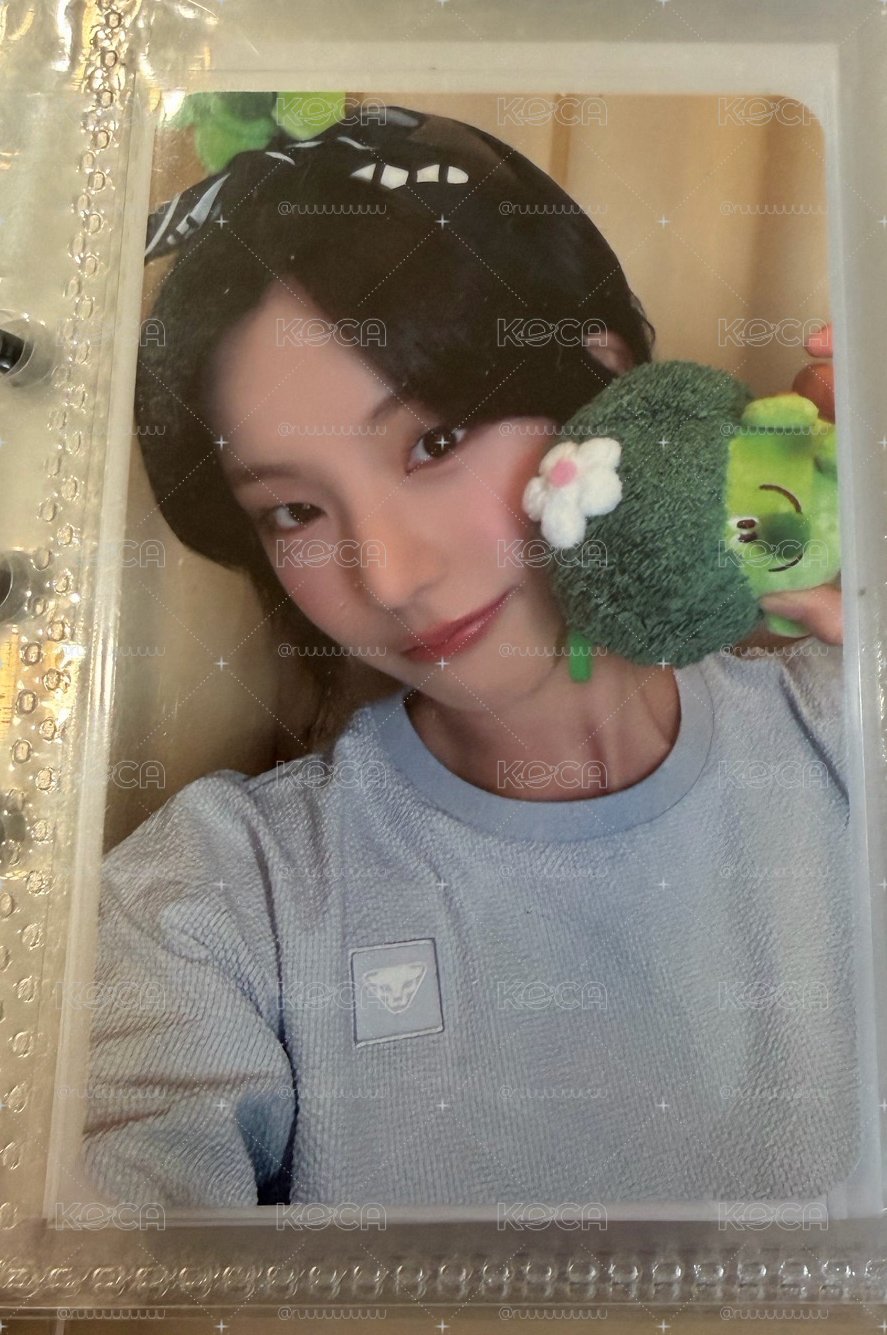 花椰菜志🤍