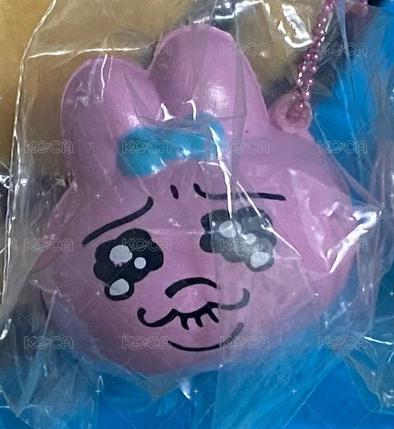 內褲兔