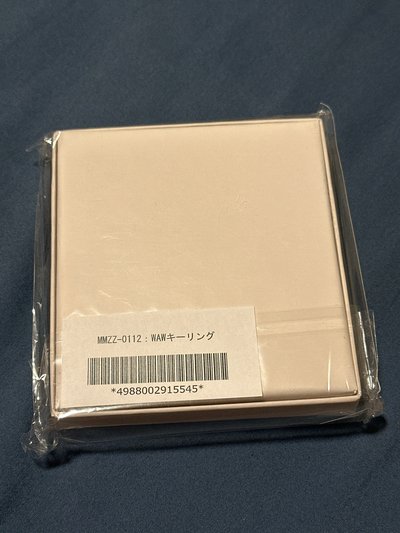 (10/20 最後出貨日）WAW 演唱會官方周邊 吊飾