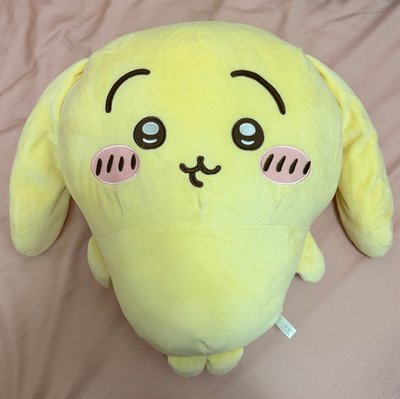 BIG 垂耳兔