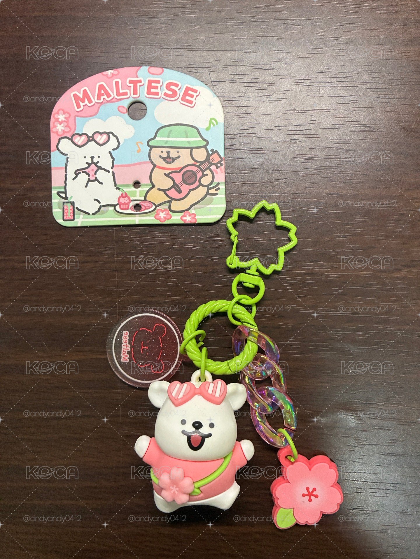櫻花小白