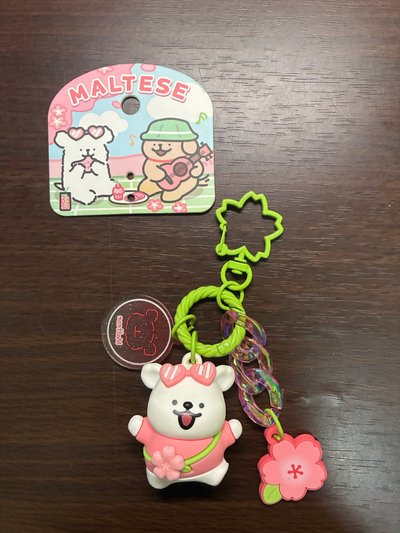 櫻花小白