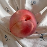 운（下單前看簡介）