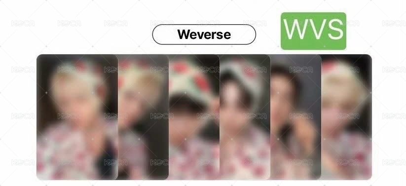 wvs5