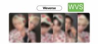 wvs5