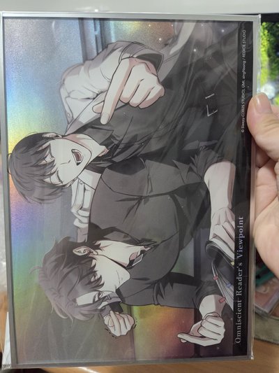 全知讀者視角