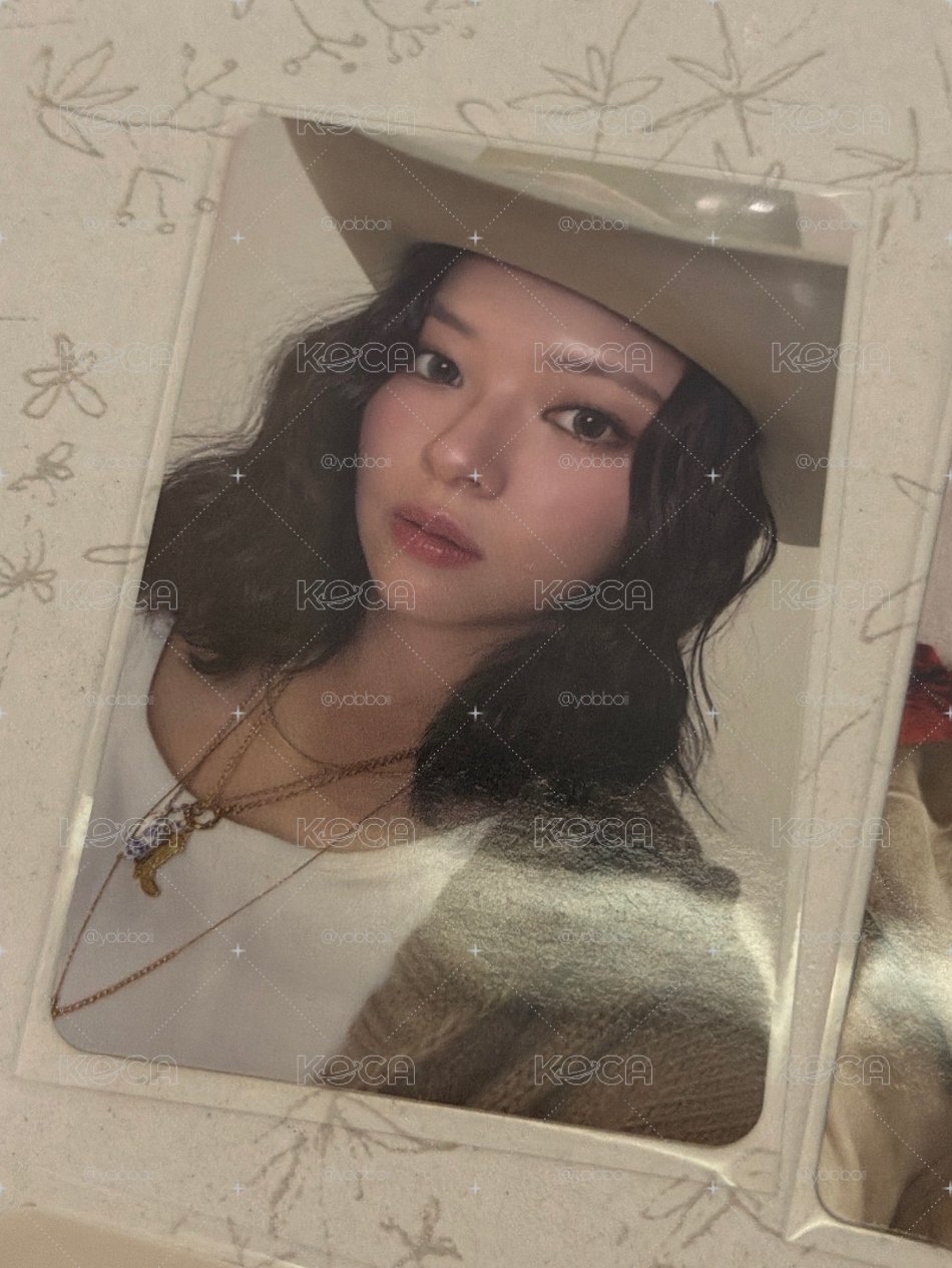 美美叮