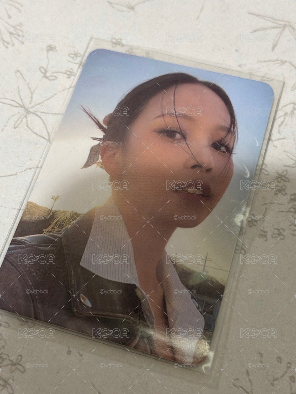美美南
