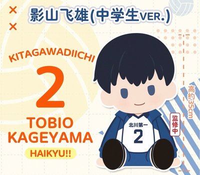 日向影山 毛絨玩偶