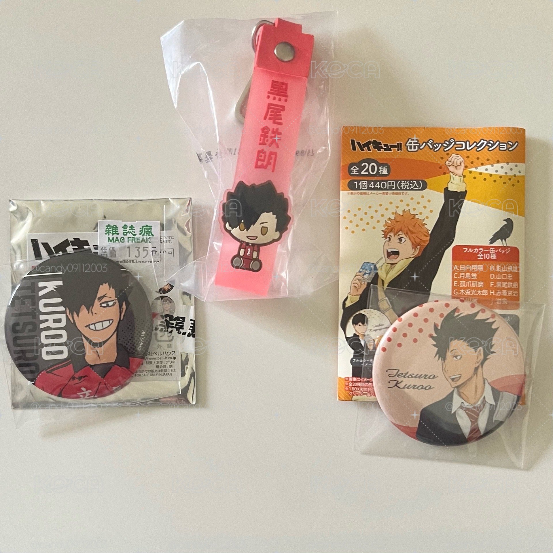 黑尾小小盤