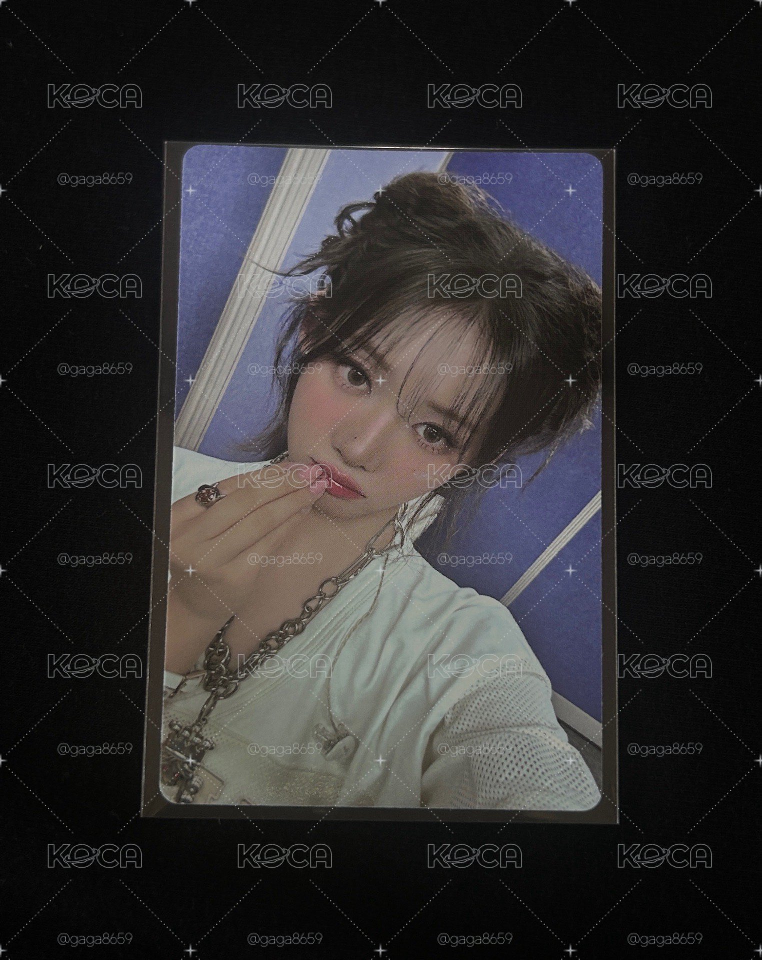 台北展位 丸子頭茶