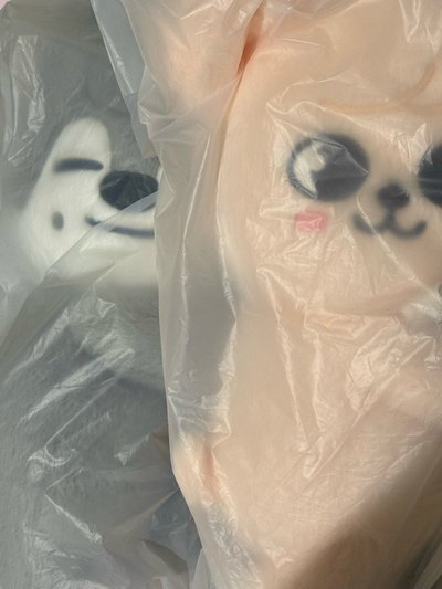 側背娃全新燦