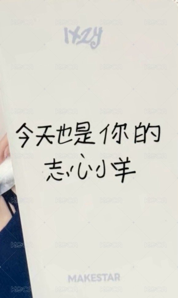 Motto 迷十二 ms 1.0 深圳 線下 中背 簽名卡 小羊 背面