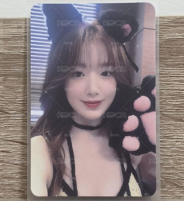 正規二 Ms貓爪刷🐱🐈