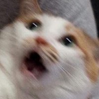 憨吉