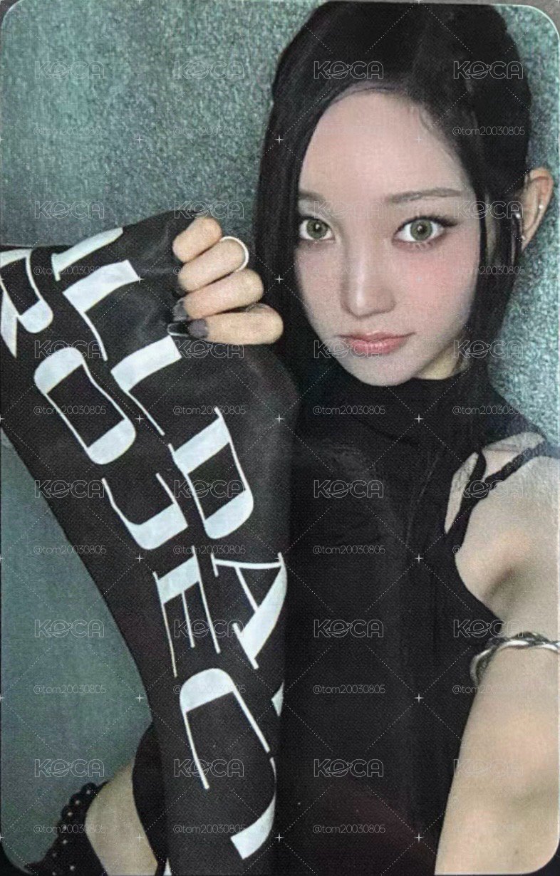 榮書 crush 打歌卡