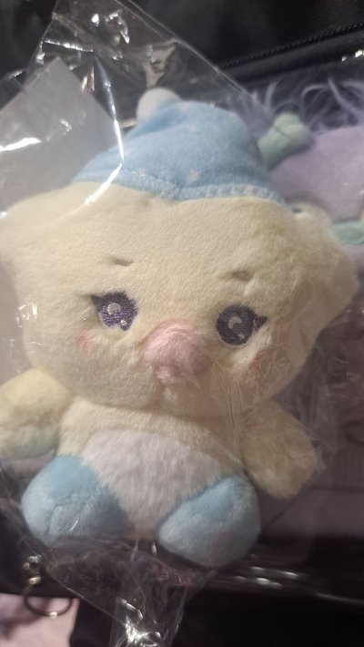 裴 日巡小娃