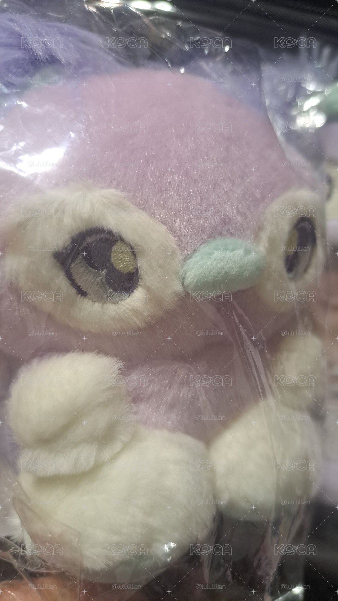 莉 日巡 娃