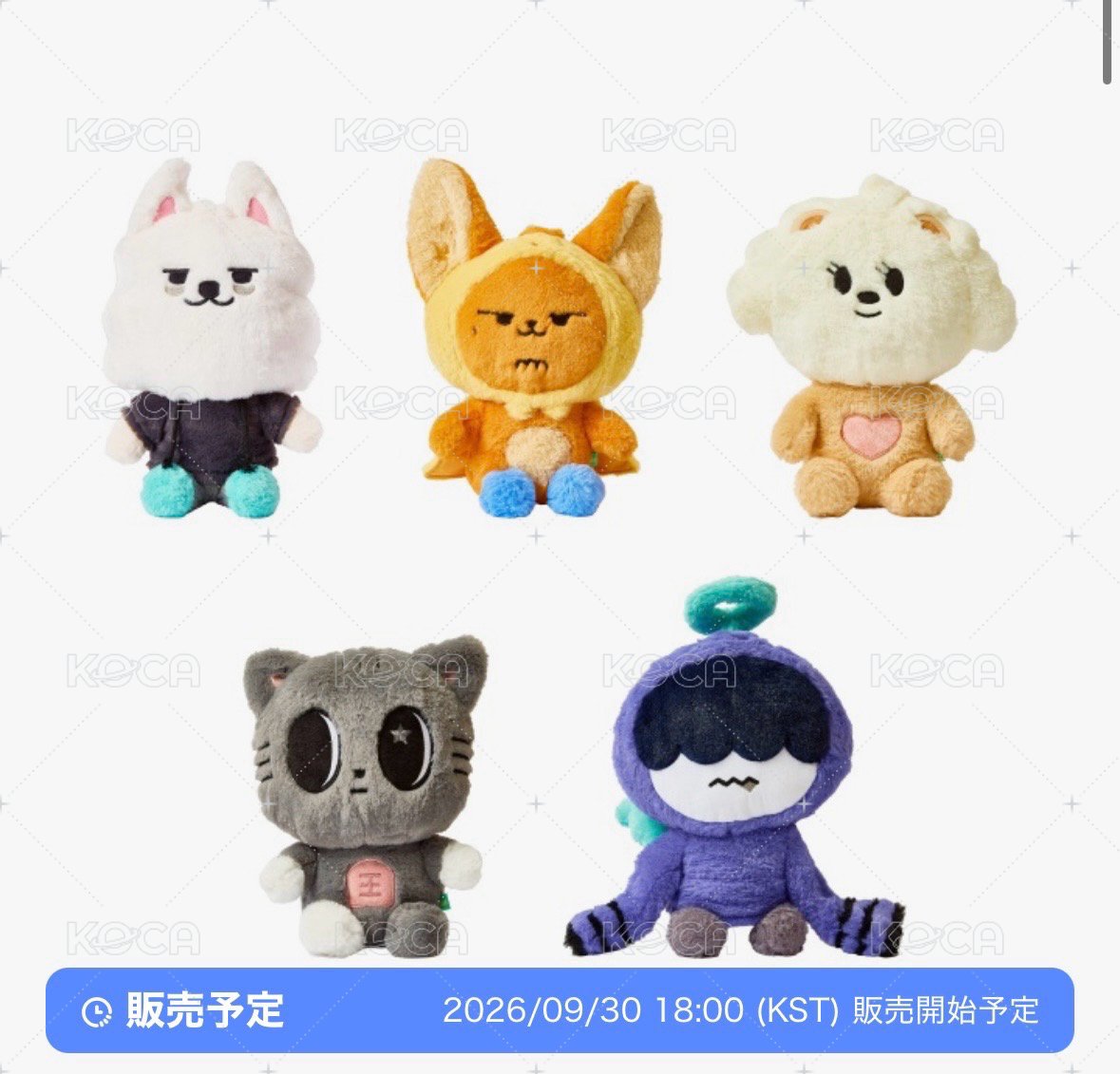 大絨毛坐娃（請標註成員謝謝）