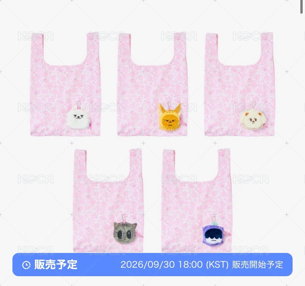 環保購物袋（請標註成員謝謝）