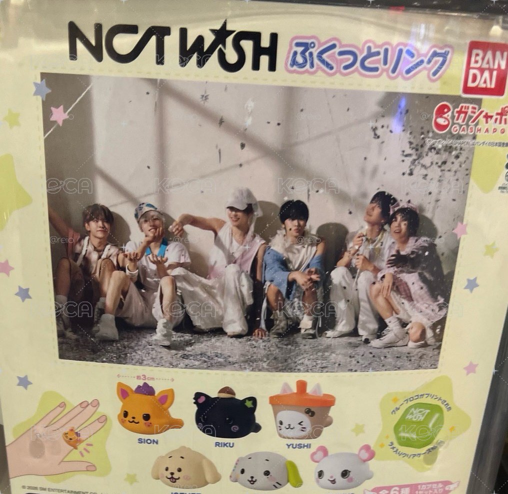 NCT Wish 日本扭蛋確認款