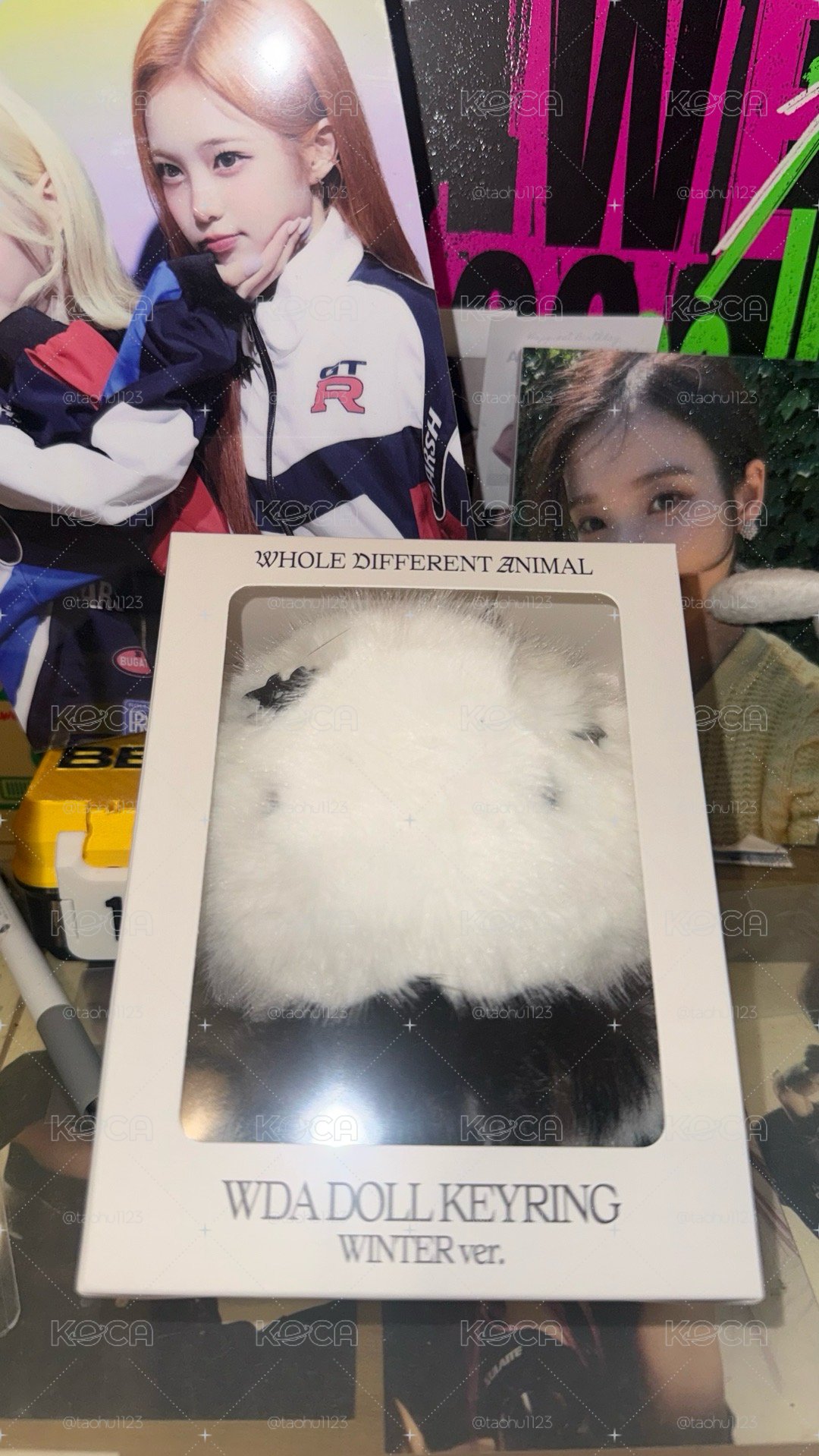 WDA 冬冬可愛白娃