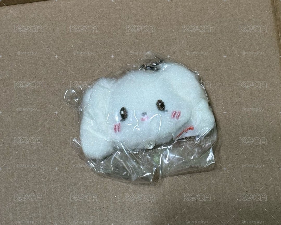 aniteez 扭蛋大頭 尚