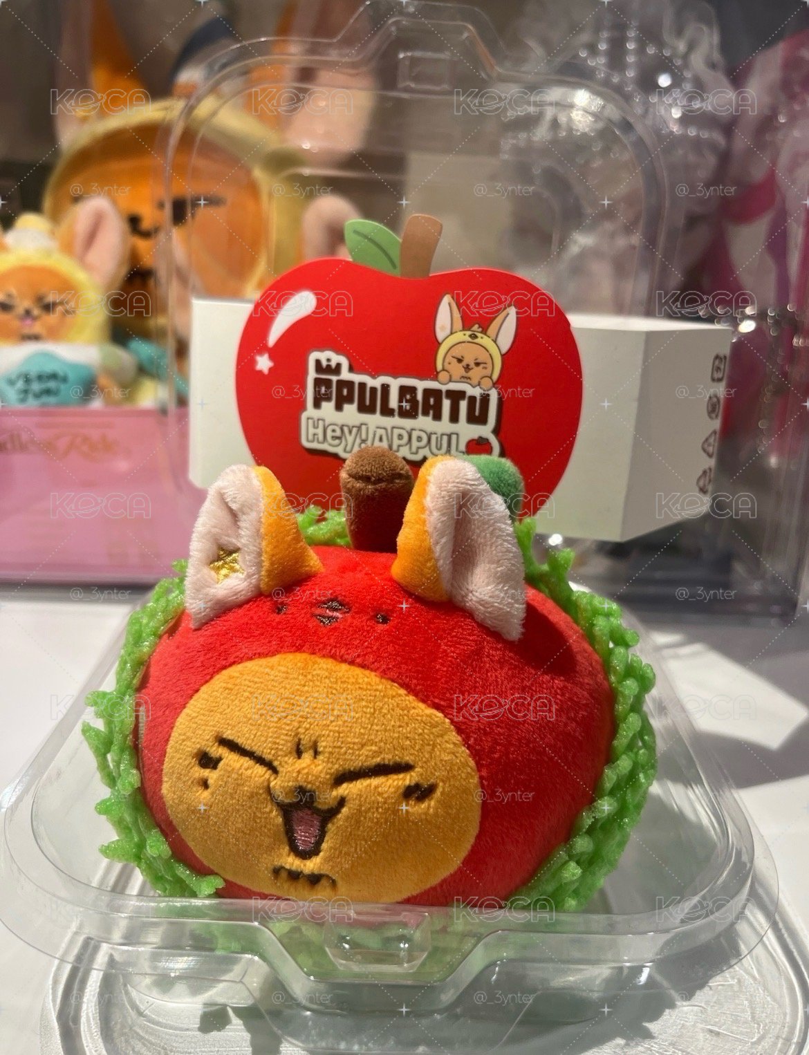 肥豬特賣會