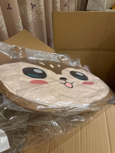 （現貨在台）大頭抱枕