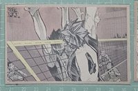 ⭐️黑尾、木兔