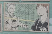 ⭐️青根、日向