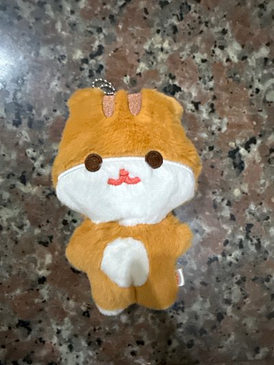 中拉米豆豆眼
