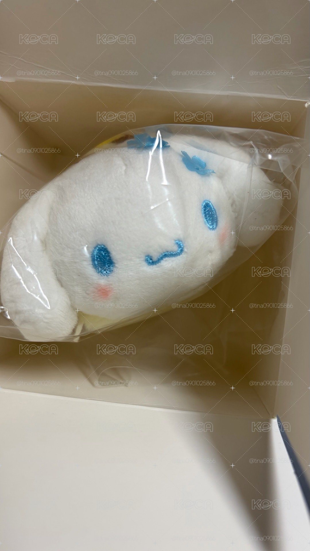 蜜蜂大耳狗