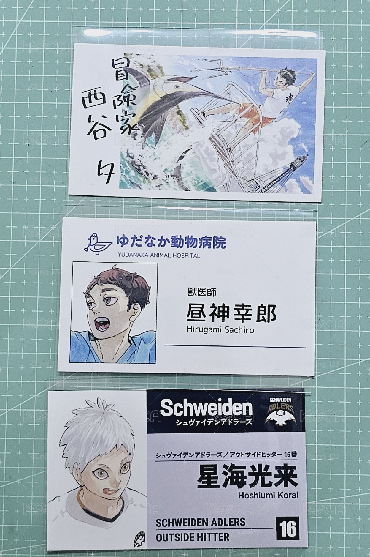 成年後職業小卡 