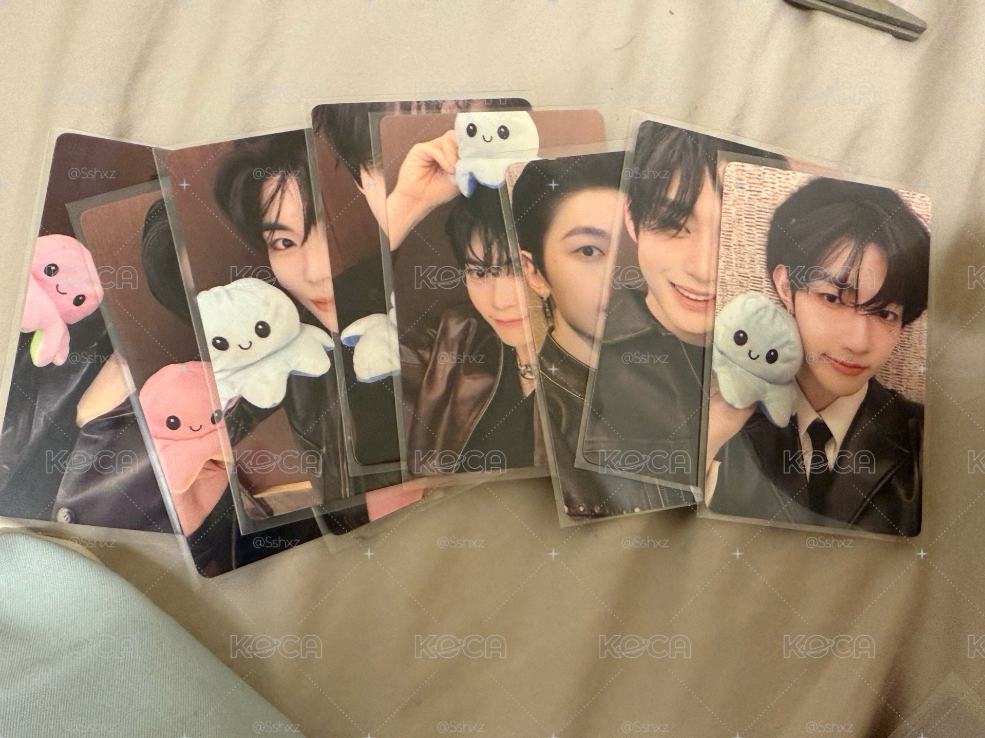 章昊出清