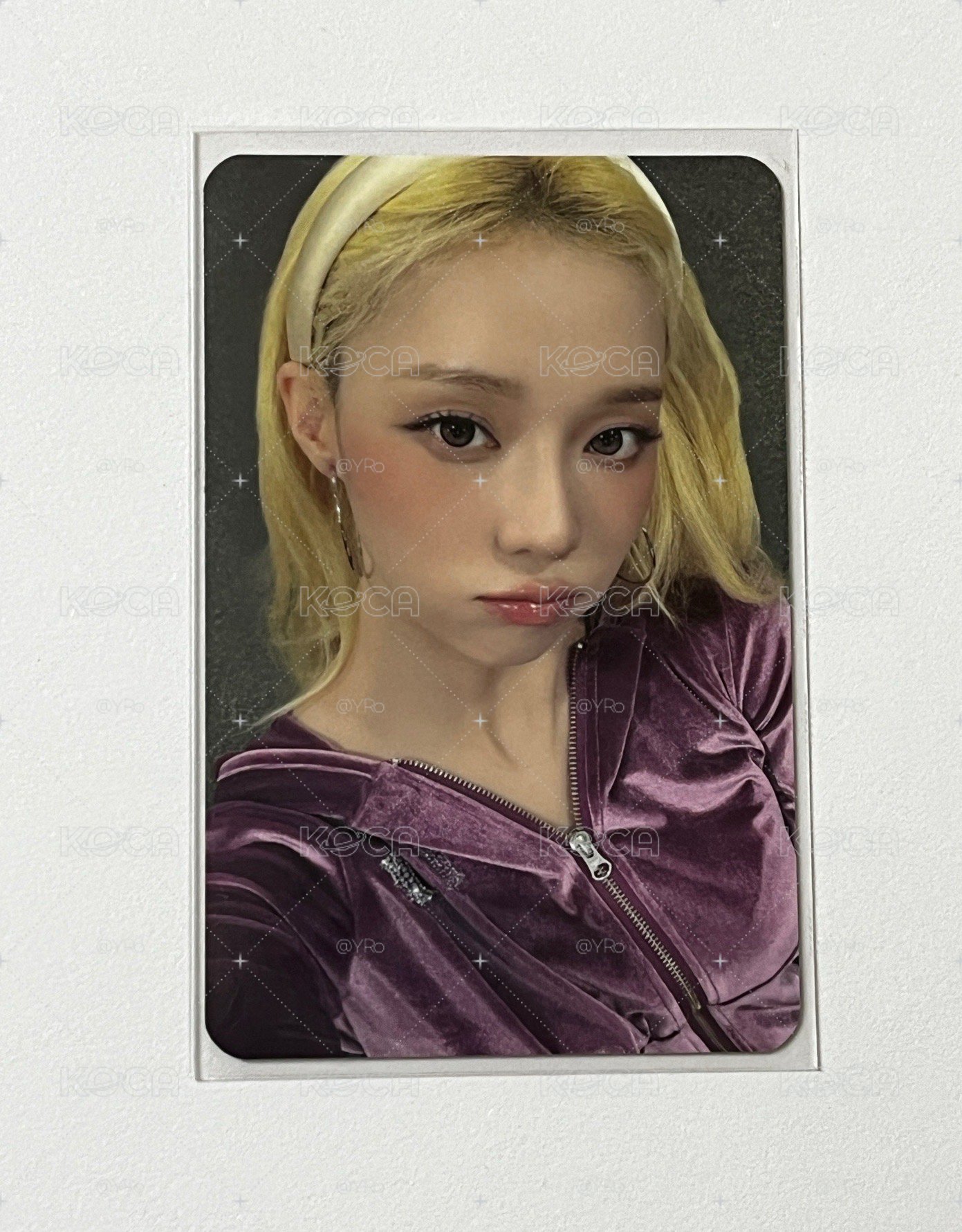 ms簽售冬