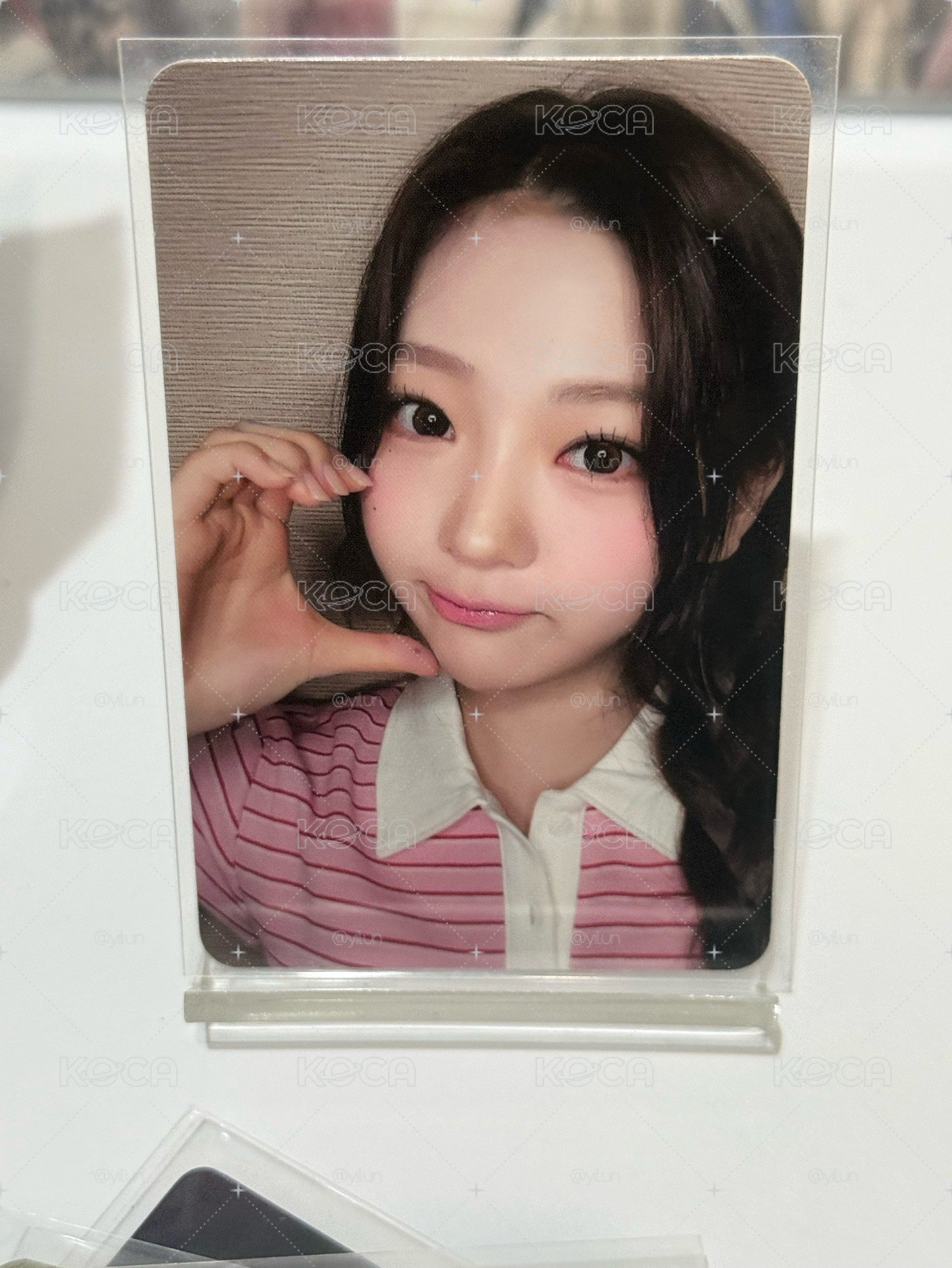 蝦皮