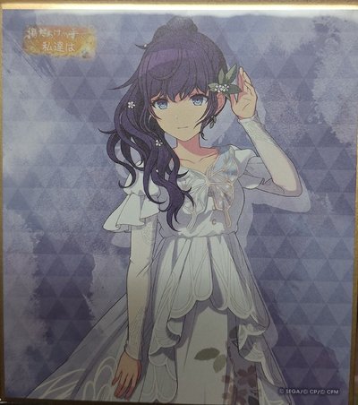 真冬色紙