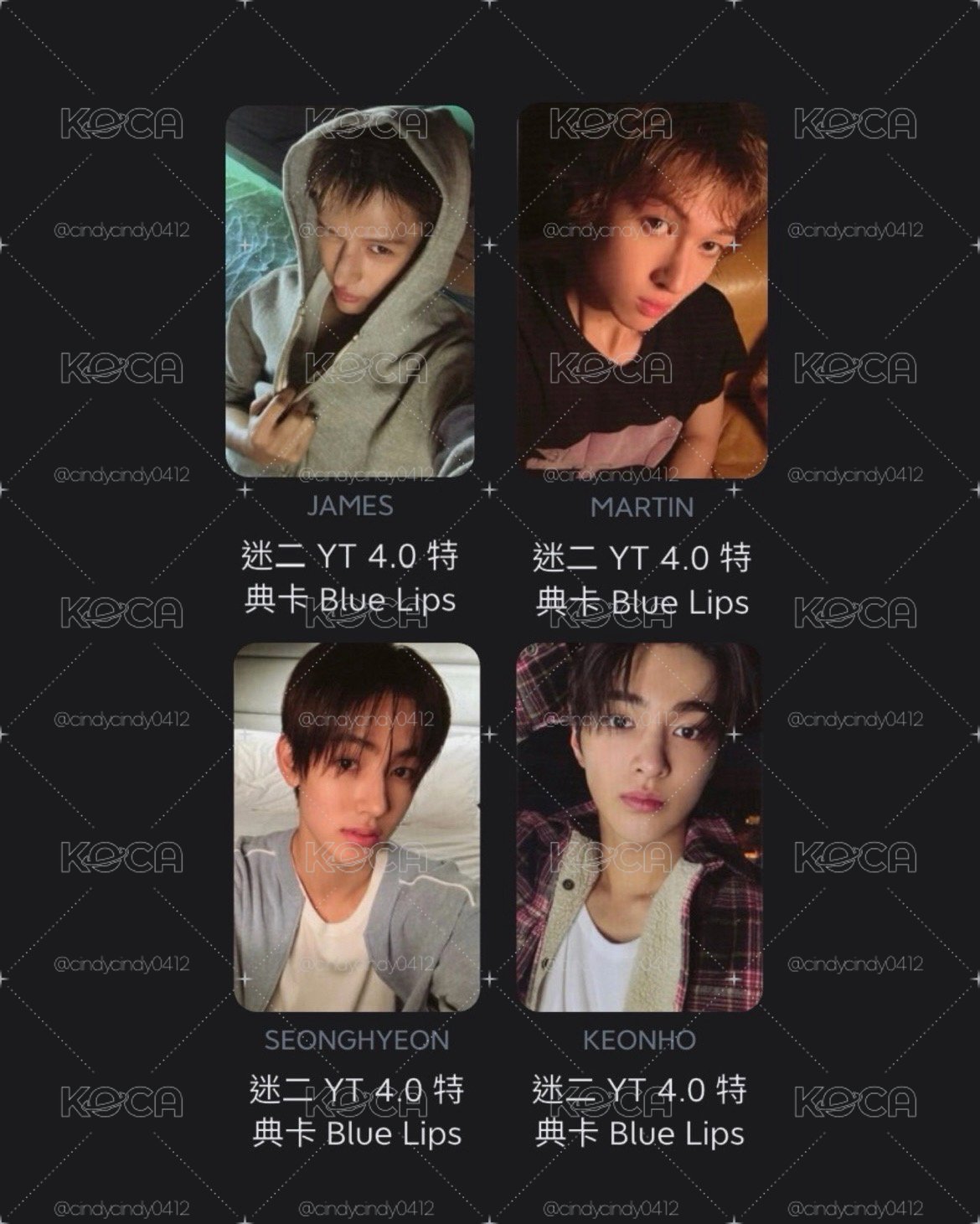 YT4.0特典