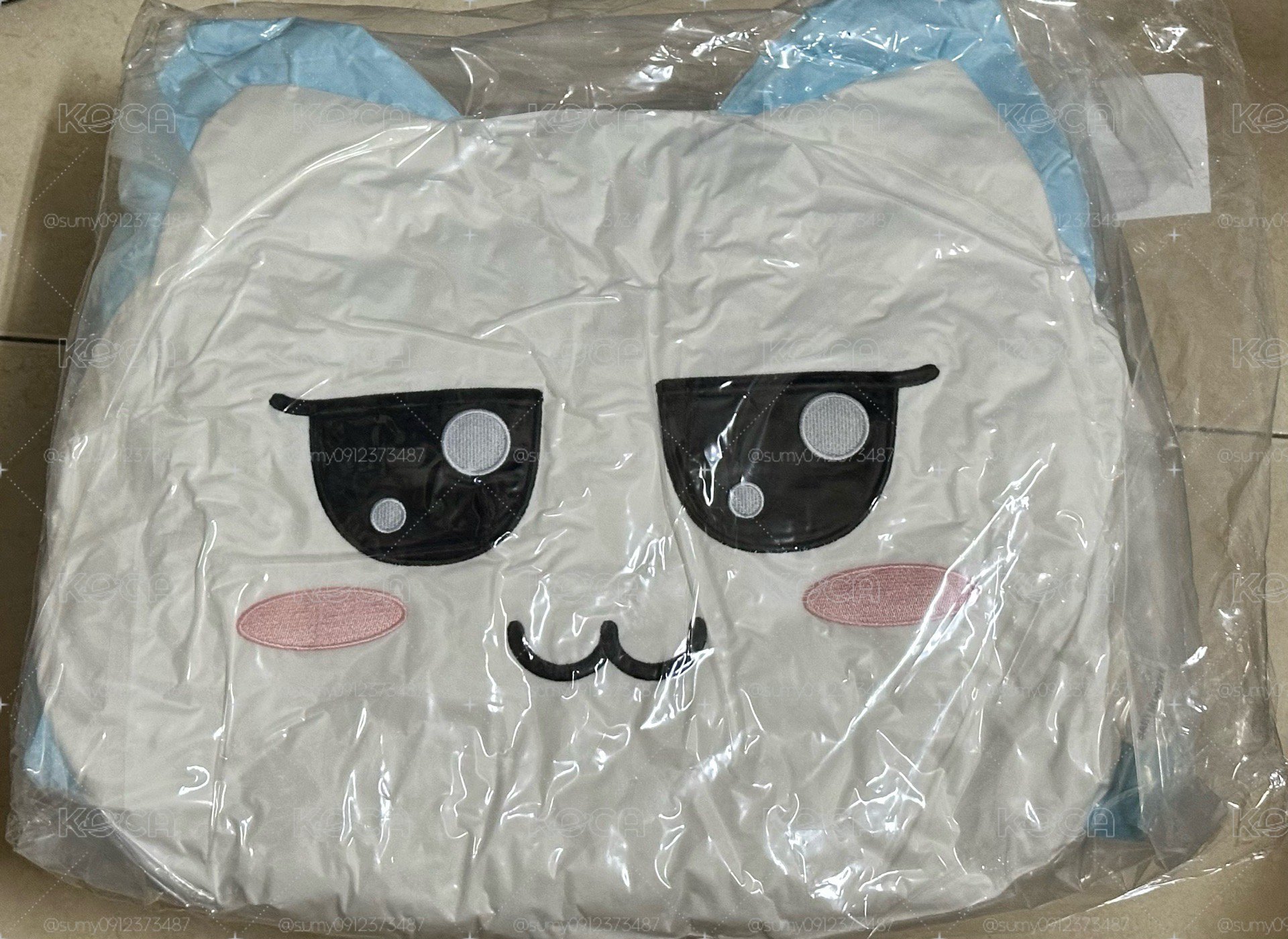 賢 抱枕