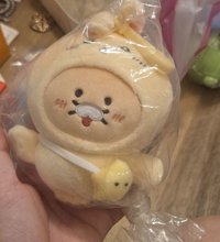 Kakao聯名