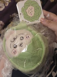 高麗菜