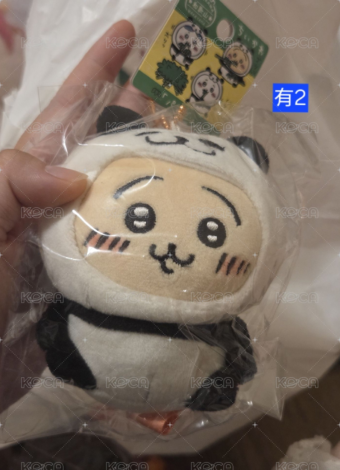 熊貓