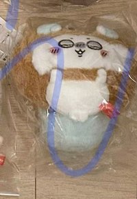 上海限定(非現)