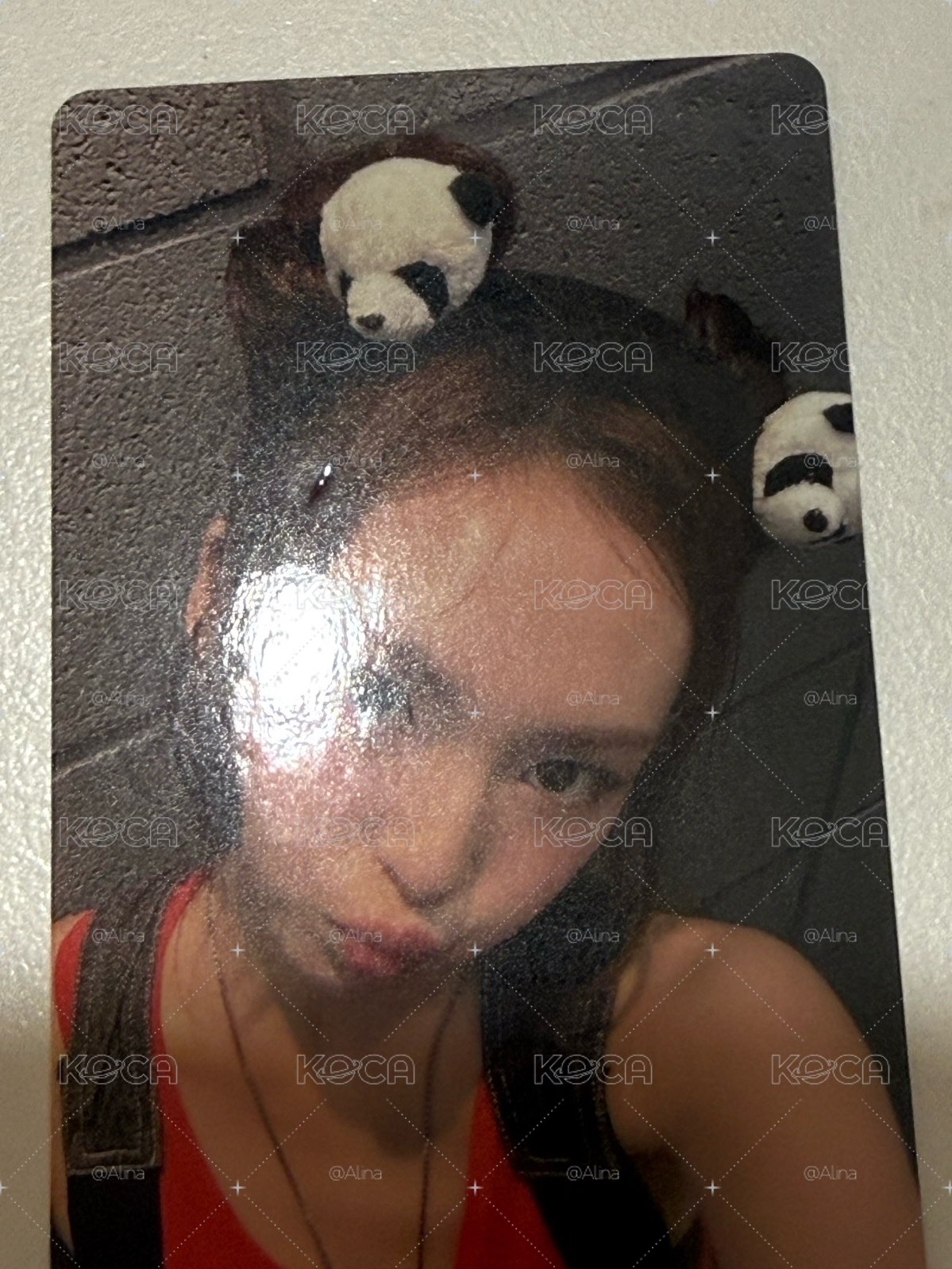 熊貓柒🐼