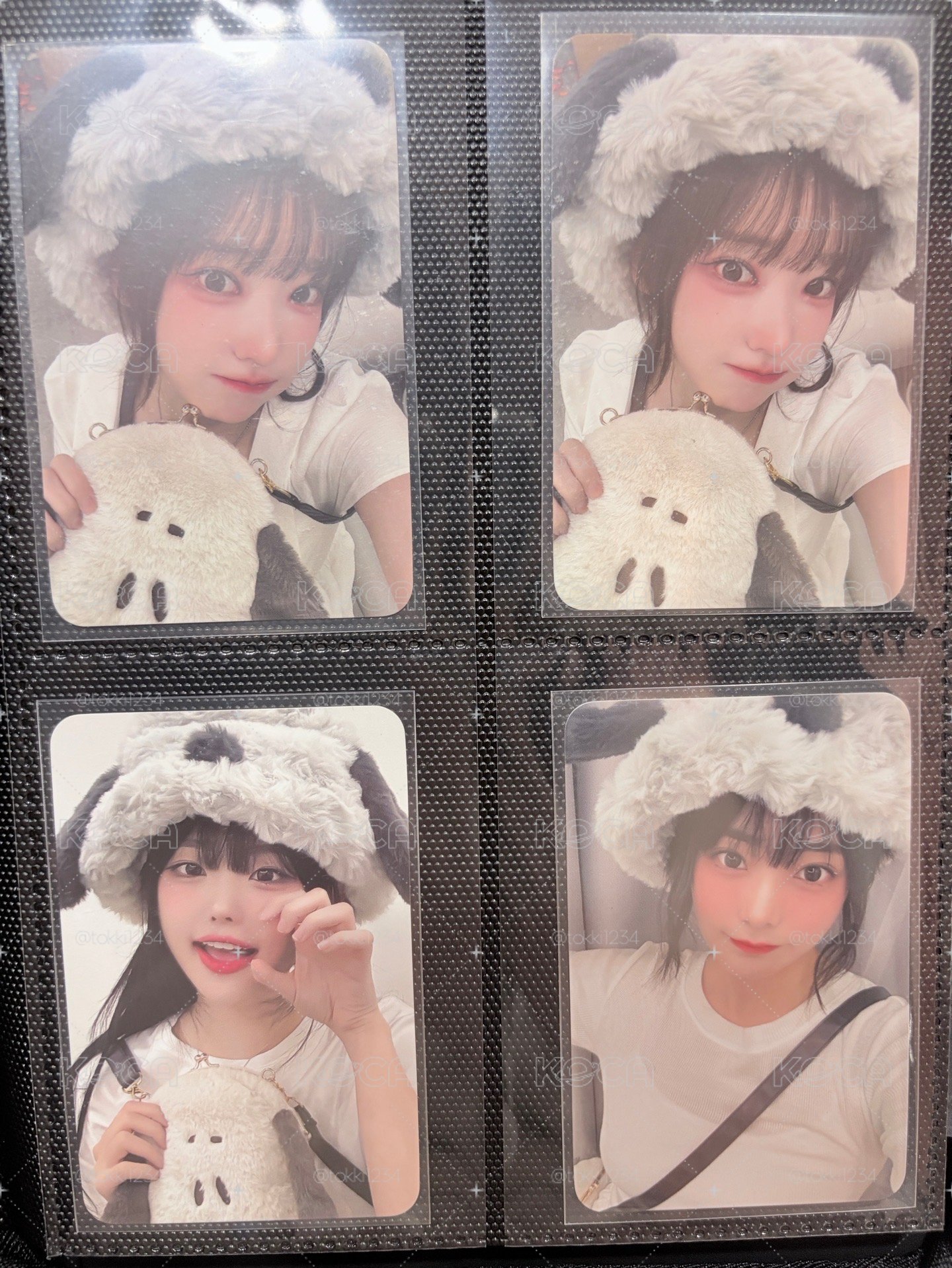 小狗帽特典
